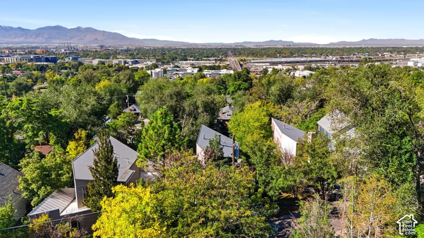 Aerial perspective of residential structures featuring geometric architectural silhouettes, metal roofing, mature canopy trees, and a mountain range backdrop