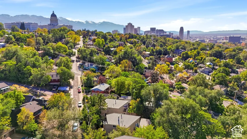 Aerial perspective featuring an urban streetscape, mature tree canopy, and a backdrop of snow-capped mountains