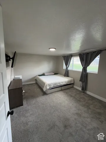 Neutral interior space featuring wall-to-wall carpeting, a large sliding window, and a flush-mount ceiling light fixture