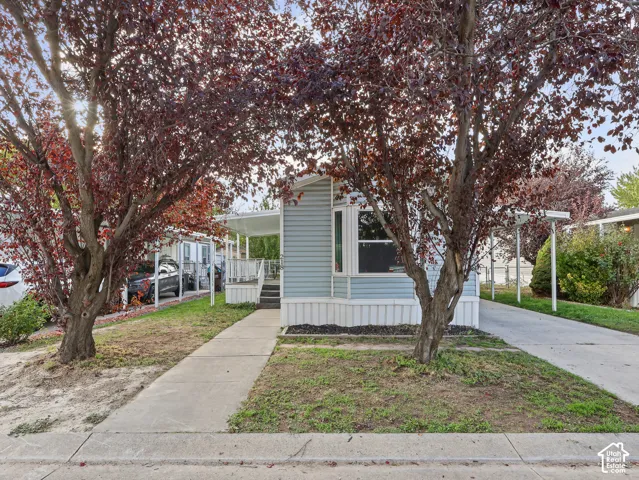 Light blue horizontal siding, bay window, concrete driveway, covered porch, and mature landscaping
