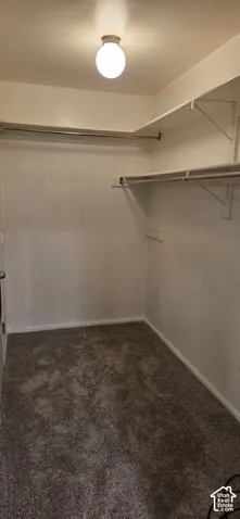 Storage space featuring neutral carpeting, tiered shelving, and a mounted globe-style light fixture