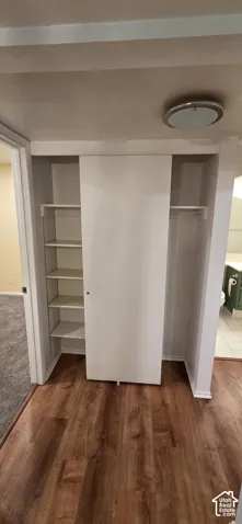 Built-in storage closet featuring a sliding panel door, integrated shelving, flush-mount overhead lighting, and wood-finish flooring