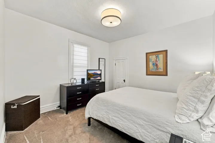 Neutral-toned carpeting, two-panel interior door, multi-light flush-mount ceiling fixture, and tall window with blind