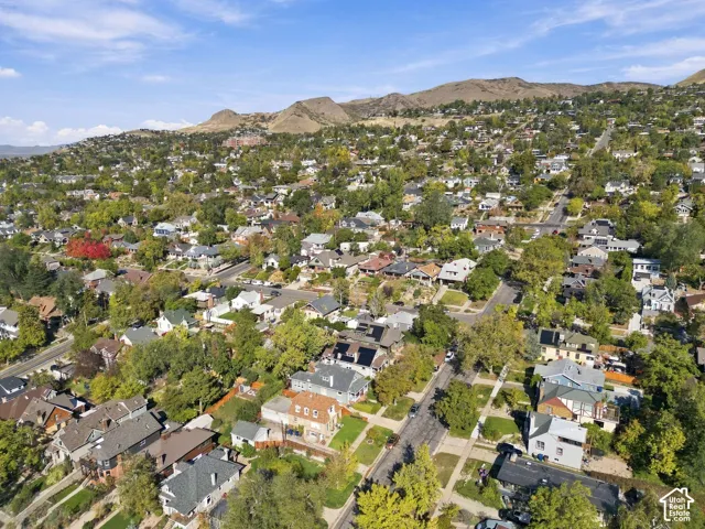 Aerial perspective of a residential neighborhood featuring mature trees, diverse architectural styles, grid-patterned streets, and a prominent mountain backdrop