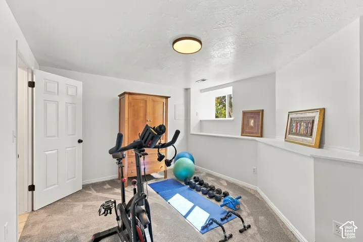 Neutral-toned carpeting, flush-mount ceiling lighting, six-panel interior door, and a recessed window ledge
