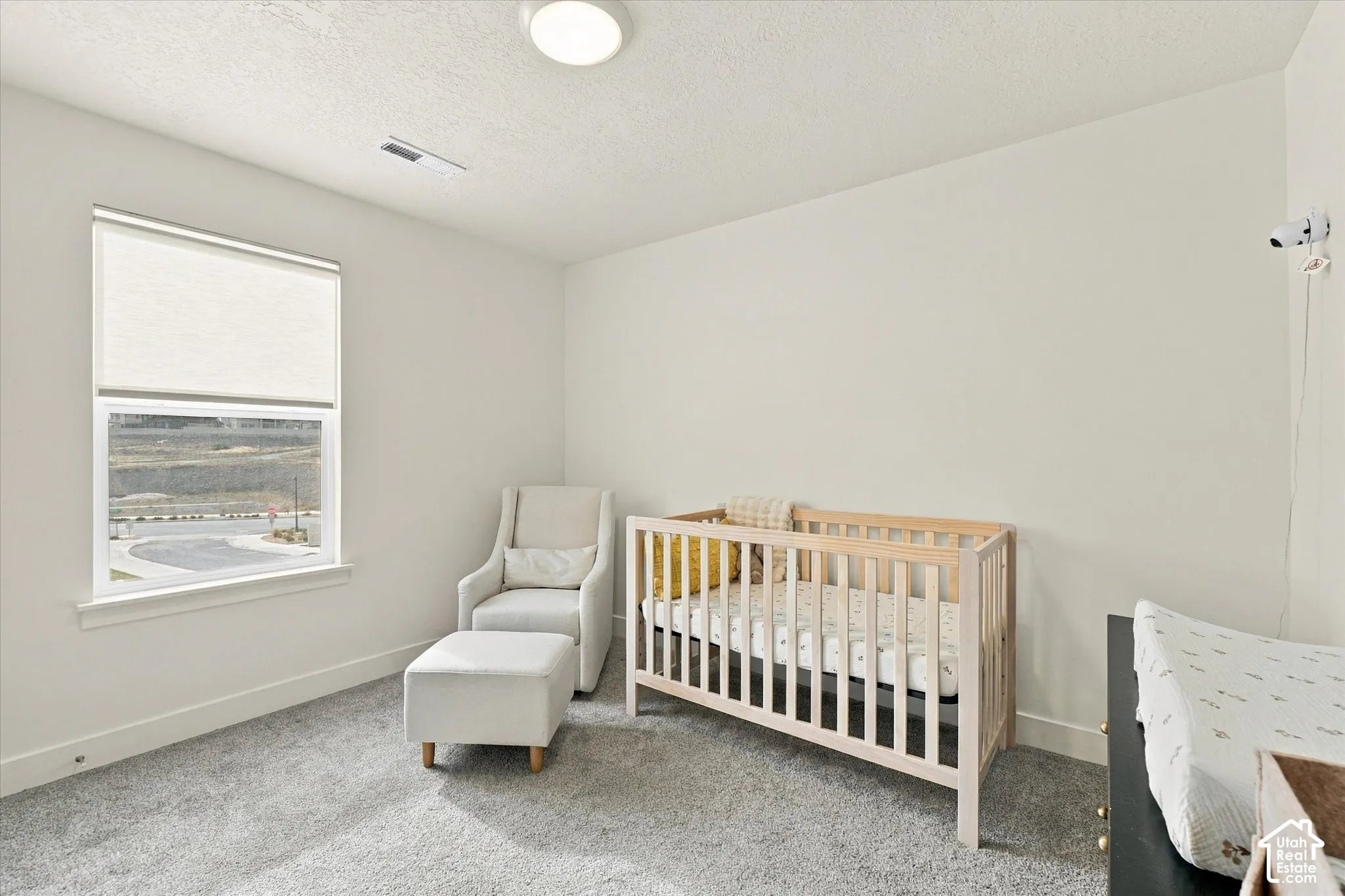 Neutral wall palette, wall-to-wall carpeting, window with roller shade, and ceiling-mounted light fixture