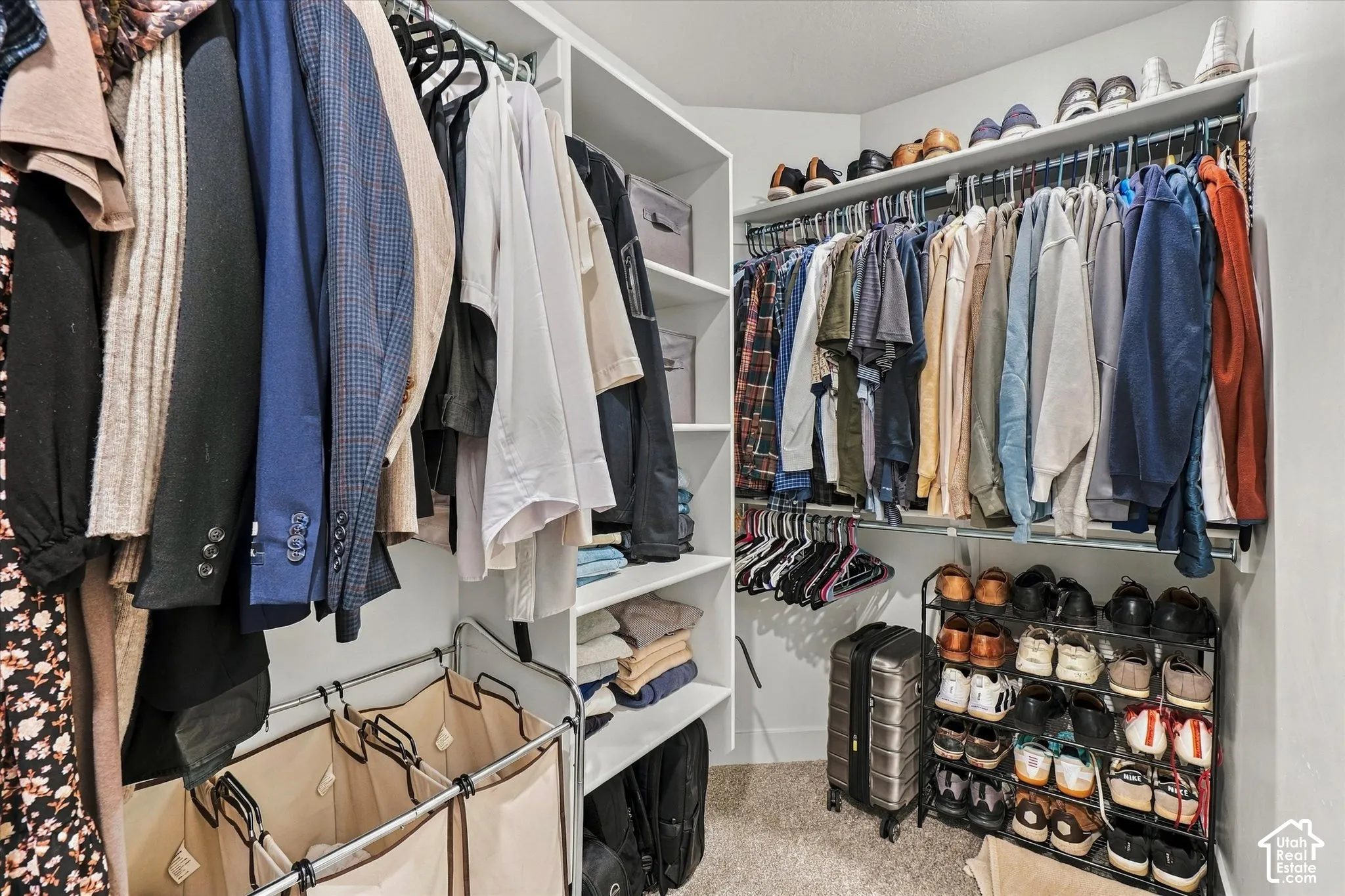 Walk-in closet featuring white built-in shelving, multi-level hanging rods, and carpeted flooring