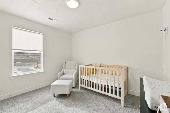 Neutral wall palette, wall-to-wall carpeting, window with roller shade, and ceiling-mounted light fixture