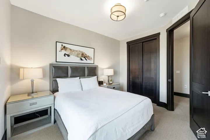 Neutral-toned interior featuring dark wood-finish interior doors, matching door casing, carpeted flooring, and a drum-style ceiling light fixture