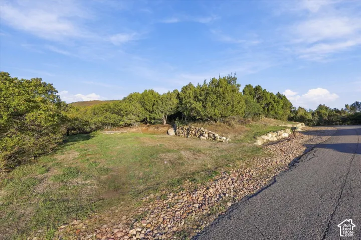 Expansive lot featuring mature native trees, natural rock retaining walls, and paved road access