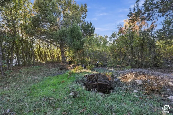 Wooded grounds featuring mature trees and a circular metal fire pit