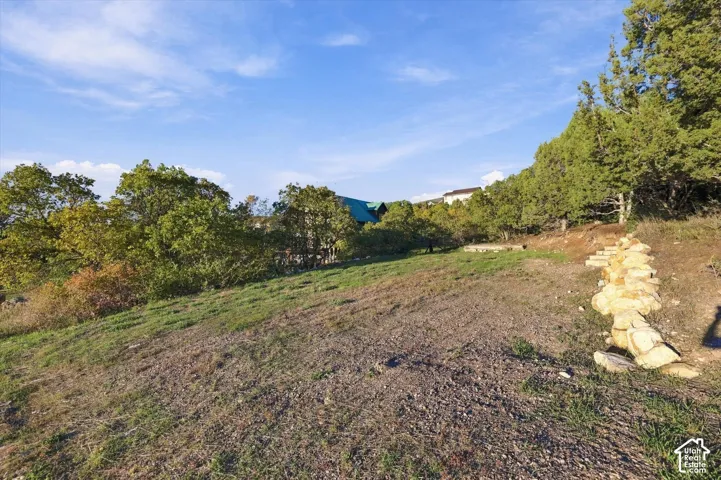 Expansive hillside parcel featuring mature trees, natural terrain, and a stone-stepped retaining wall