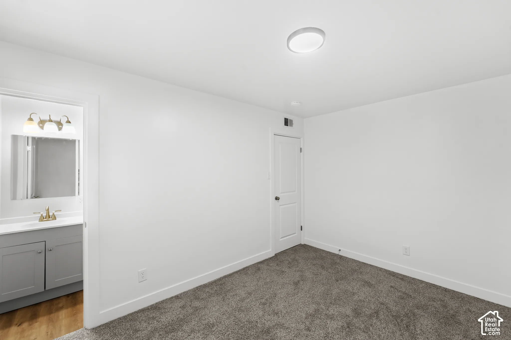 Interior space featuring neutral-toned carpeting, a flush-mount ceiling light, and a single-panel interior door, with a glimpse of an auxiliary room containing a grey vanity cabinet with a stone-top sink and multi-bulb wall-mounted lighting