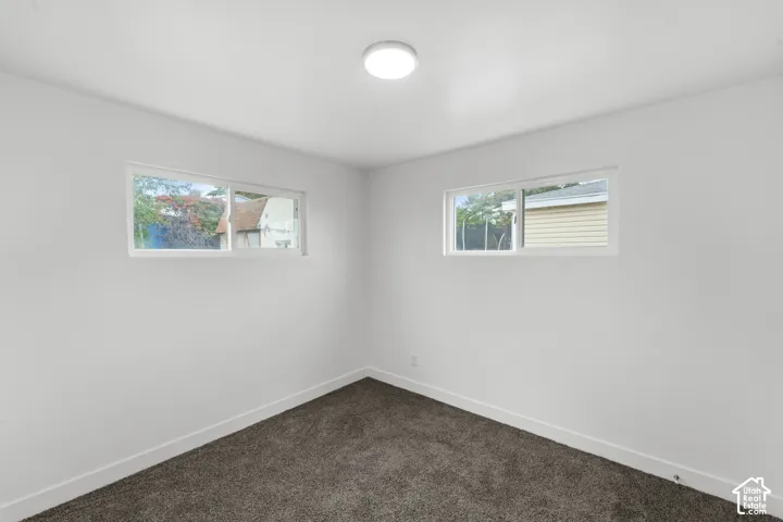 Neutral-toned carpeted flooring, dual sliding windows, and a flush-mount overhead ceiling light fixture
