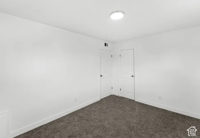 Neutral interior space featuring wall-to-wall carpeting, two panel-style doors, and a flush-mount ceiling light fixture