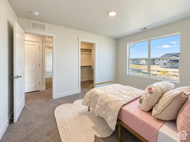 Neutral-toned room featuring wall-to-wall carpeting, a reach-in closet with built-in shelving, white paneled doors, and a large window