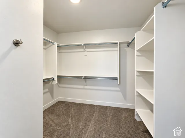 Walk-in closet featuring tiered metal garment rods, white built-in shelving, carpeted flooring, and a wall-mounted hook