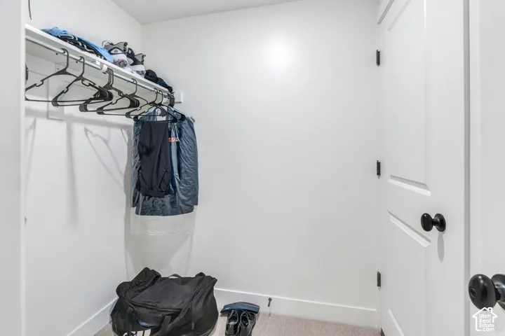 Walk-in closet featuring white walls, neutral carpeting, and a built-in wire shelving system with a hanging rod
