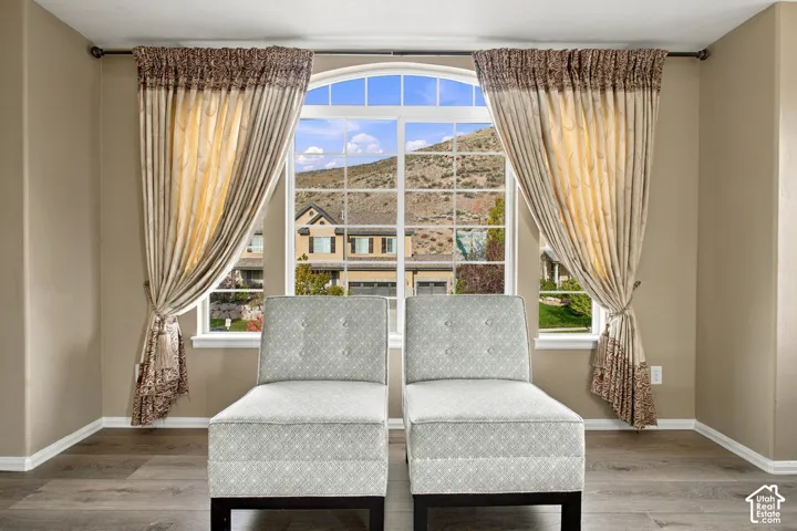 Arched window with muntin grid, wood-finish flooring, and mountain backdrop