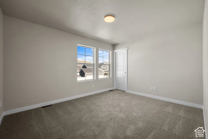Neutral-toned interior space featuring wall-to-wall carpeting, dual grid-pattern windows, and a white paneled door