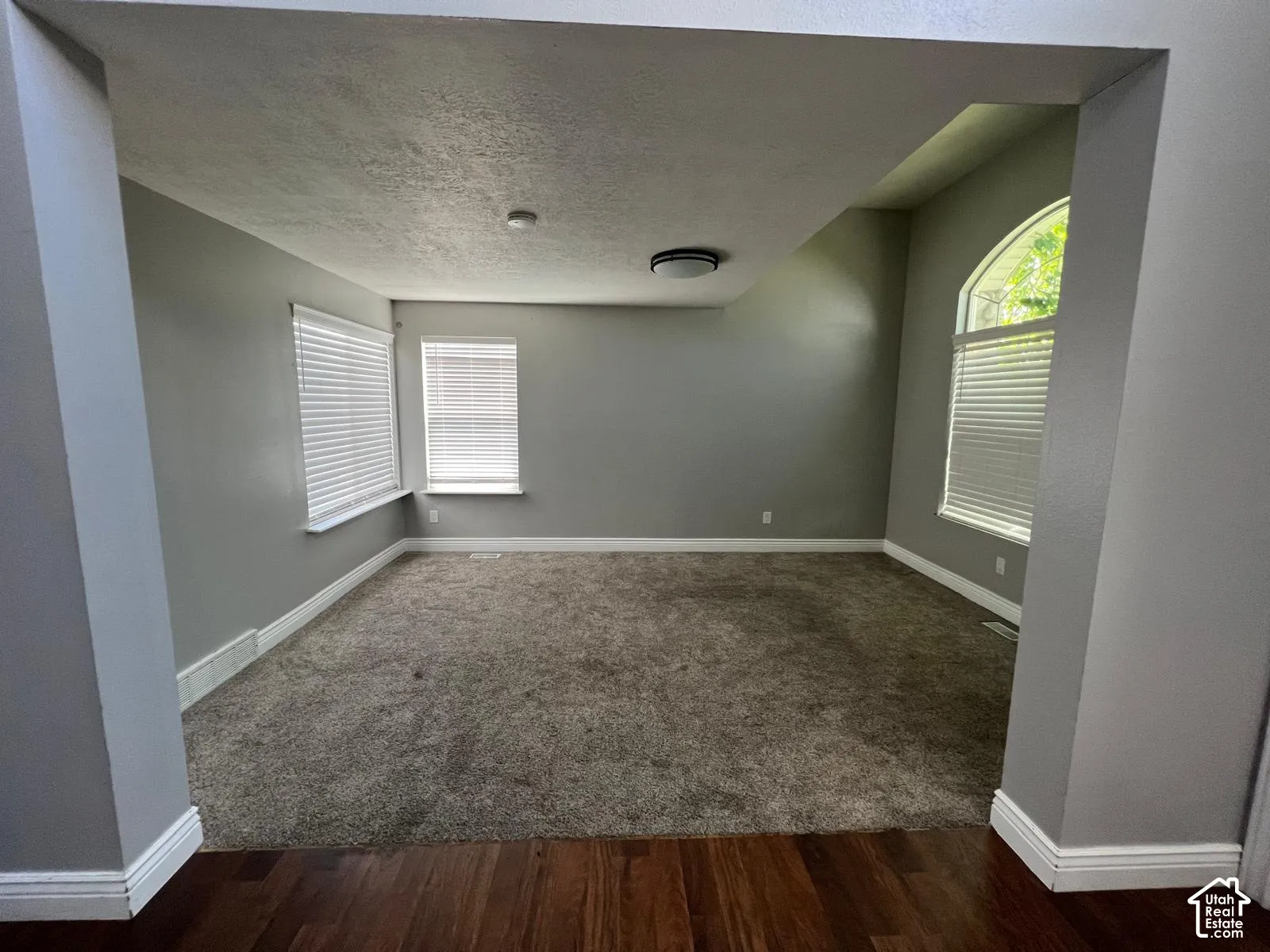 Vaulted ceilings, arched windows, plush wall-to-wall carpeting, wood-finish flooring, and horizontal window blinds