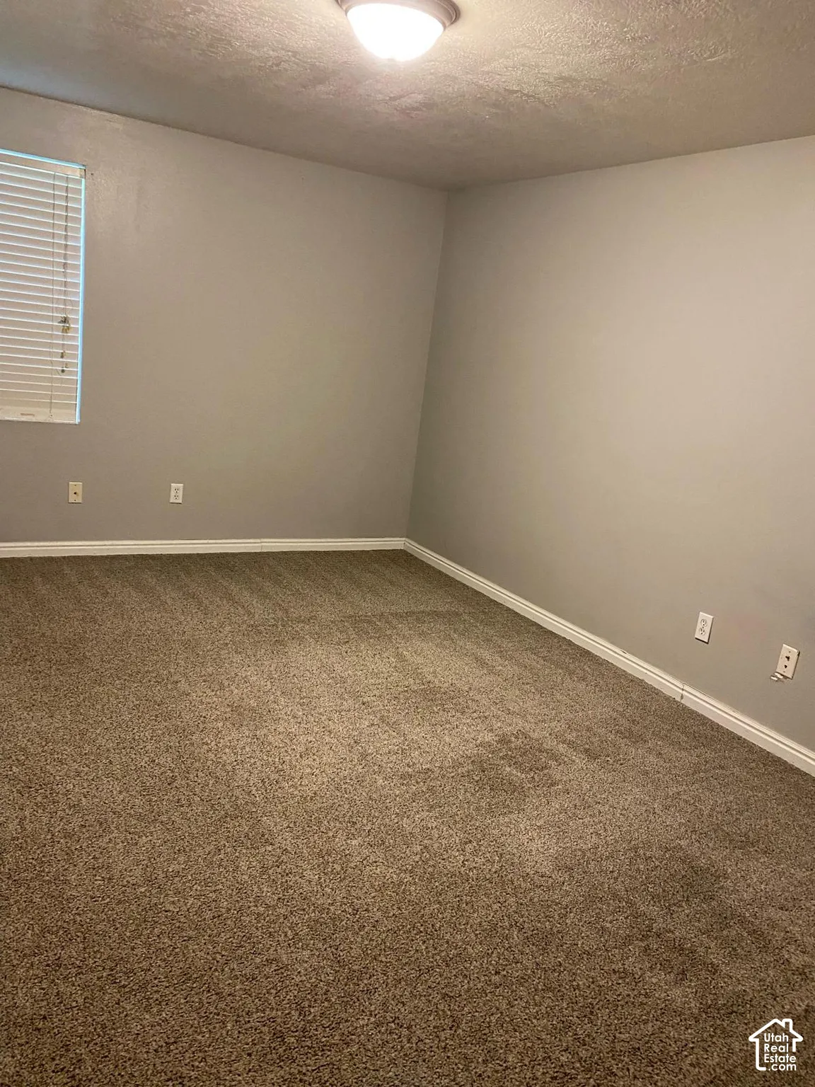 Neutral-toned interior space featuring textured carpeting, window blinds, and a flush-mount ceiling fixture