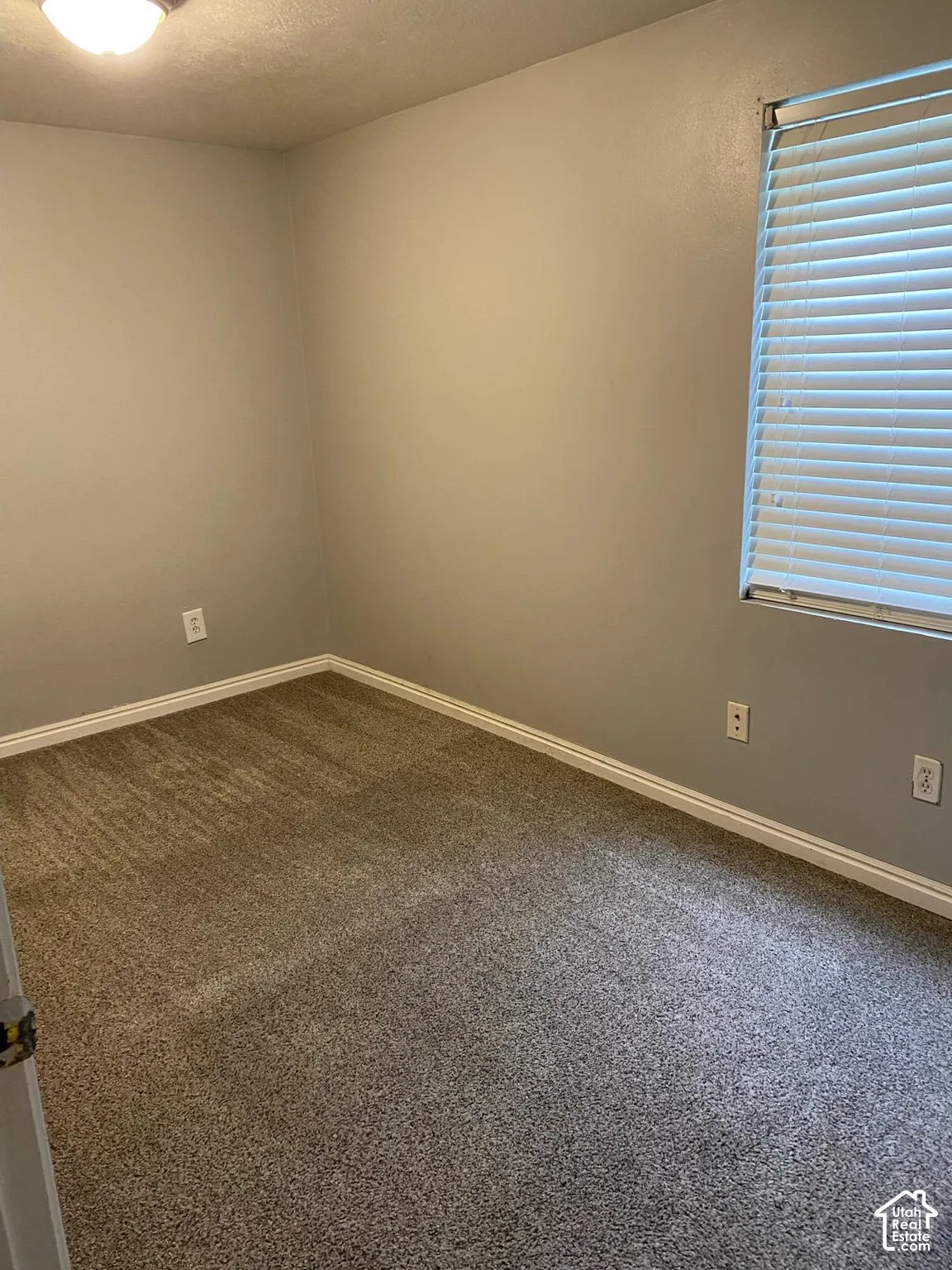 Neutral-toned room featuring wall-to-wall carpeting, grey wall finish, and a window with horizontal blinds