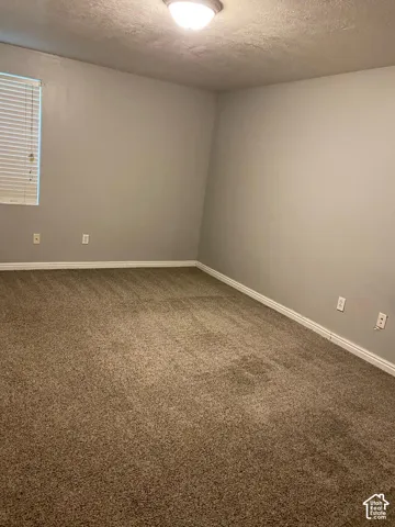 Neutral-toned interior space featuring textured carpeting, window blinds, and a flush-mount ceiling fixture