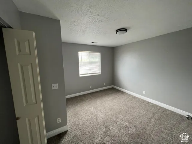Neutral-toned interior room featuring wall-to-wall carpeting, a multi-panel door, and a single window with horizontal blinds