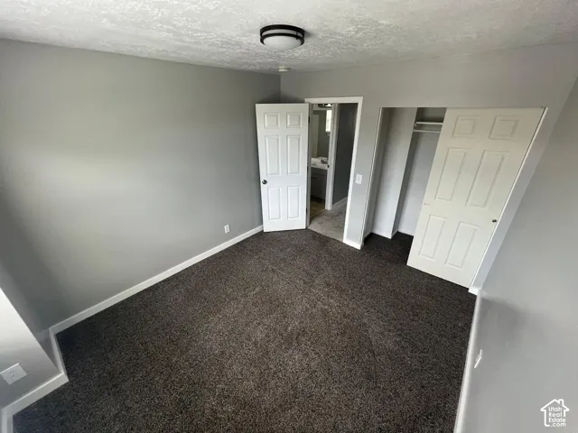 Neutral-toned interior featuring dark carpeting, six-panel doors, and ceiling-mounted light fixture