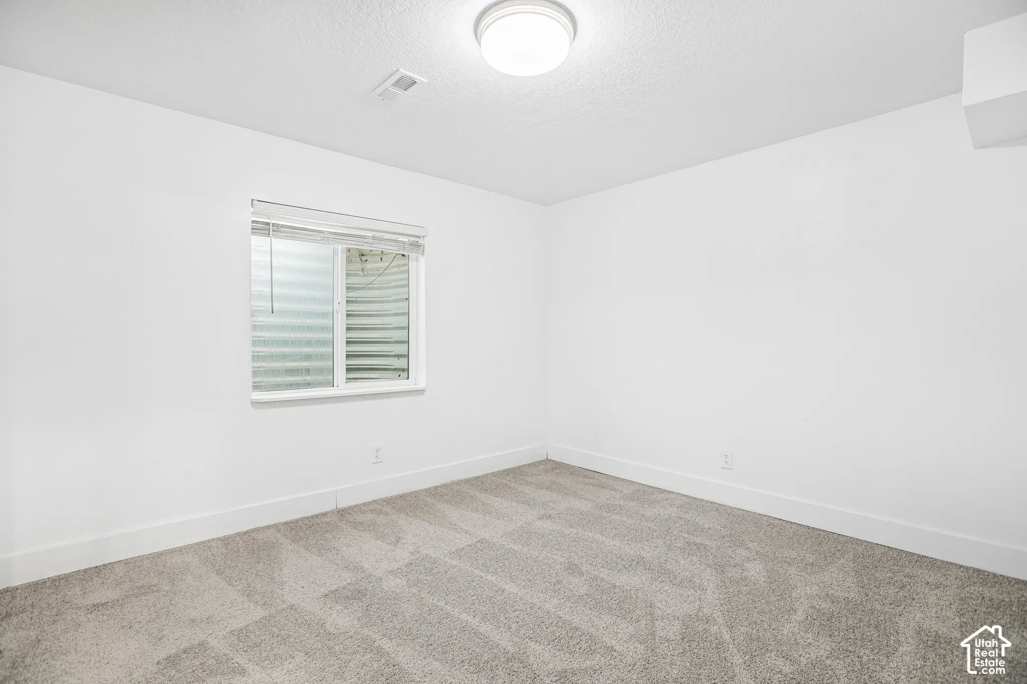 Neutral-toned carpeting, crisp white walls, flush-mount dome lighting, and a window with a metal egress well
