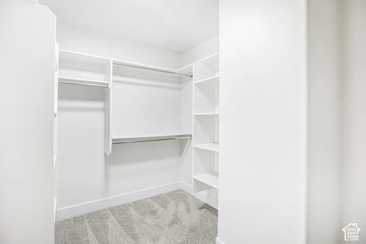Walk-in closet featuring white built-in shelving, multi-level clothing rods, and wall-to-wall carpeting