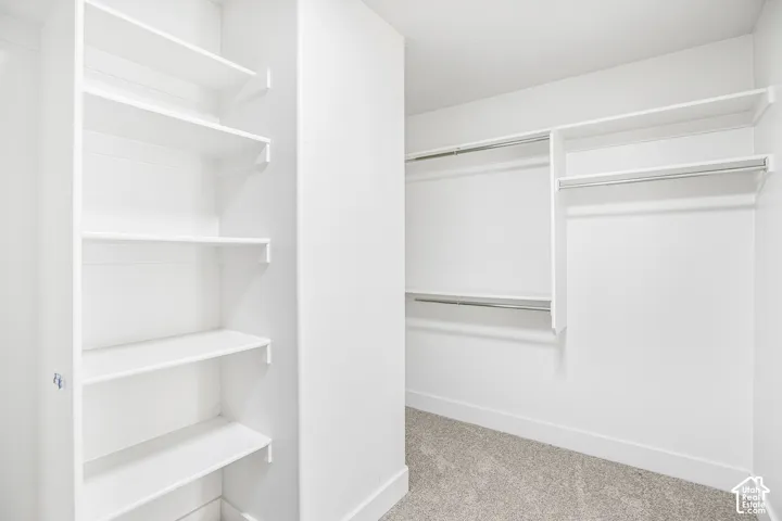 Walk-in storage area featuring custom built-in white shelving, multi-level metal garment rods, and wall-to-wall carpeting