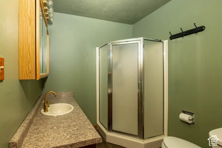 Corner shower with frosted glass panels, vanity with stone-patterned countertop, drop-in sink, gold-tone faucet, and wood-finish wall cabinet