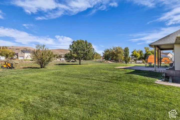 Expansive backyard featuring a large grass lawn, mature trees, concrete patio, and mountain backdrop