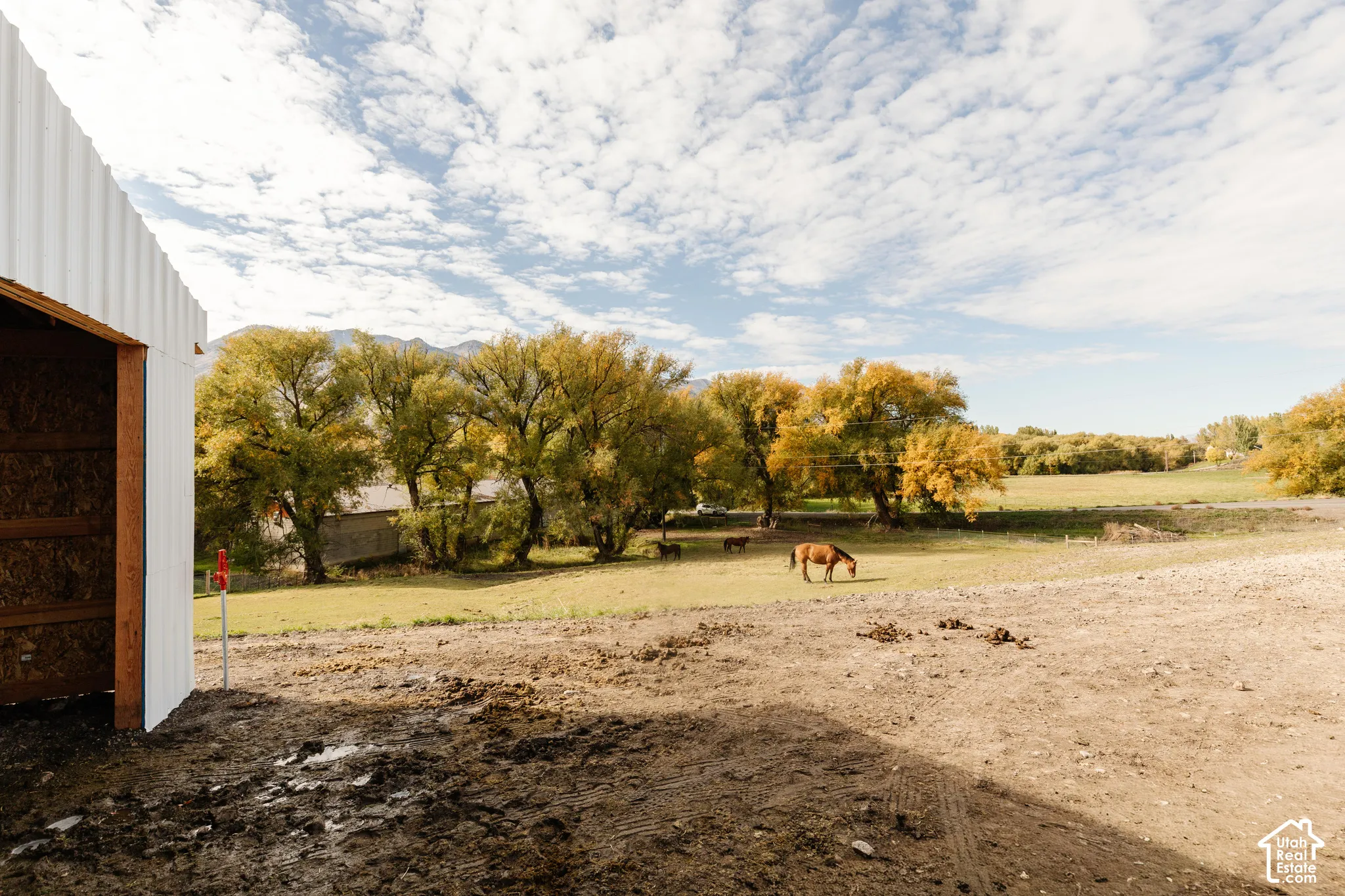 Expansive pasture featuring mature trees, mountain backdrop, and metal-sided structure