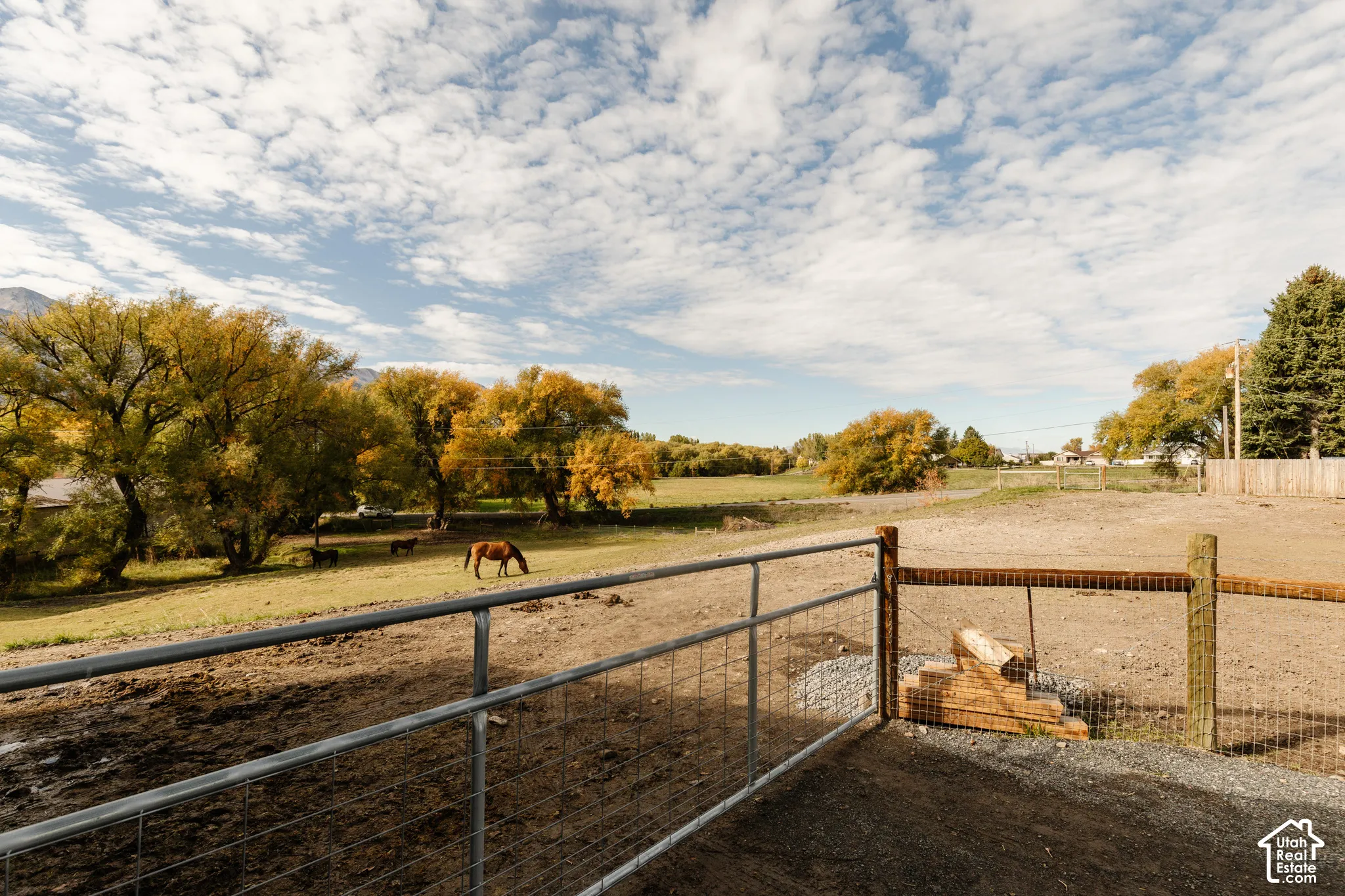 Expansive acreage featuring metal perimeter fencing, mature trees, open pasture, and mountain scenery