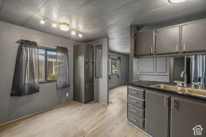 Kitchen featuring dark cabinetry, expansive countertop space, integrated sink, wood-finish flooring, and multi-bulb track lighting