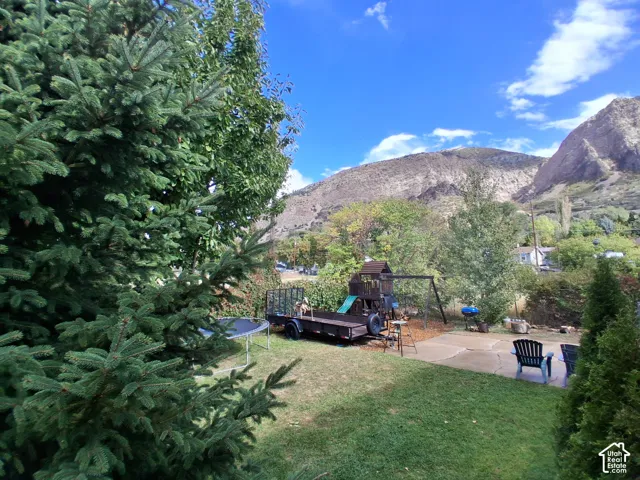 Backyard featuring a flagstone patio, lawn, mature evergreen trees, and a mountain backdrop