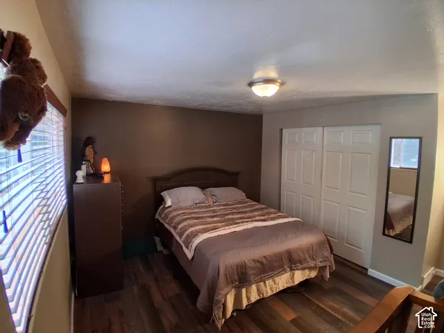 Wood-finish flooring, dual-panel closet doors, and flush-mount ceiling lighting