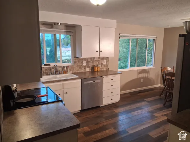 Kitchen featuring wood-finish flooring, white cabinetry, a neutral-toned backsplash, stainless steel dishwasher, and a double-basin sink