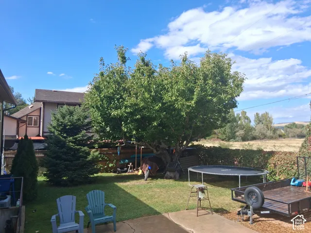 Rear yard featuring a mature shade tree, evergreen conifer, and perimeter wood fencing
