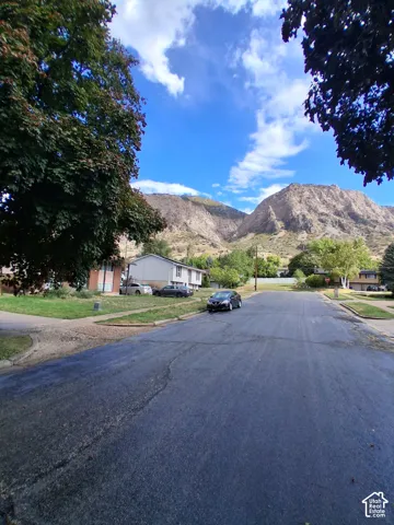 Asphalt street featuring mature shade trees and a prominent mountain backdrop