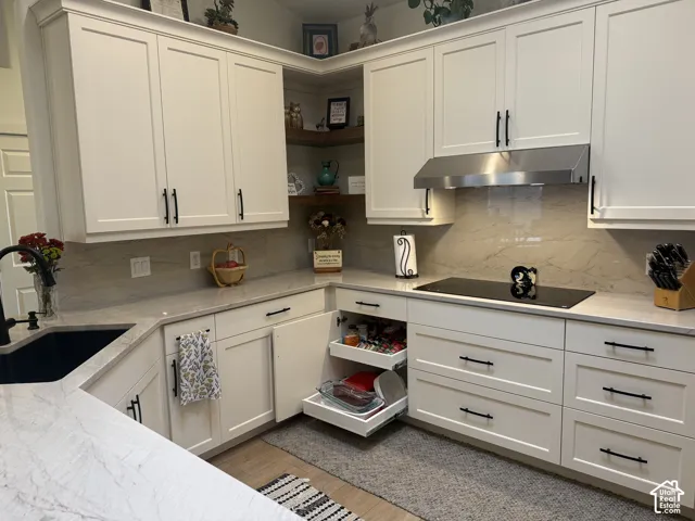 White Shaker-style cabinetry featuring built-in pull-out shelving, stone-composite countertops, stainless steel range hood, stone backsplash, and matte black hardware