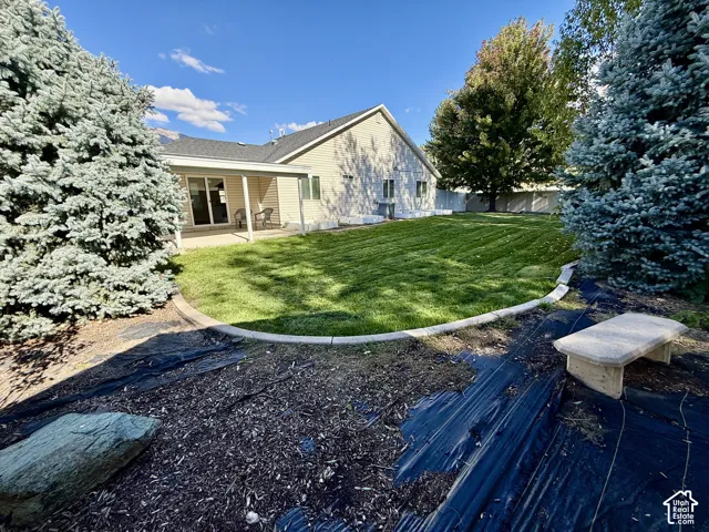 Expansive backyard featuring a professionally manicured lawn, mature landscaping with evergreen specimens, and defined hardscape edging