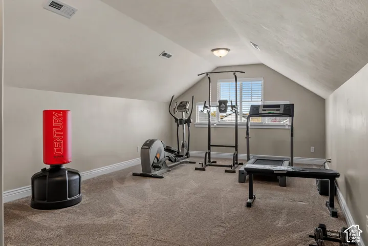 Multi-purpose room with vaulted ceilings, carpeting, and dual-pane windows with fitted plantation shutters