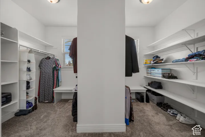 Walk-in closet featuring white tiered shelving, built-in storage units, carpeted flooring, and dual windows with blinds