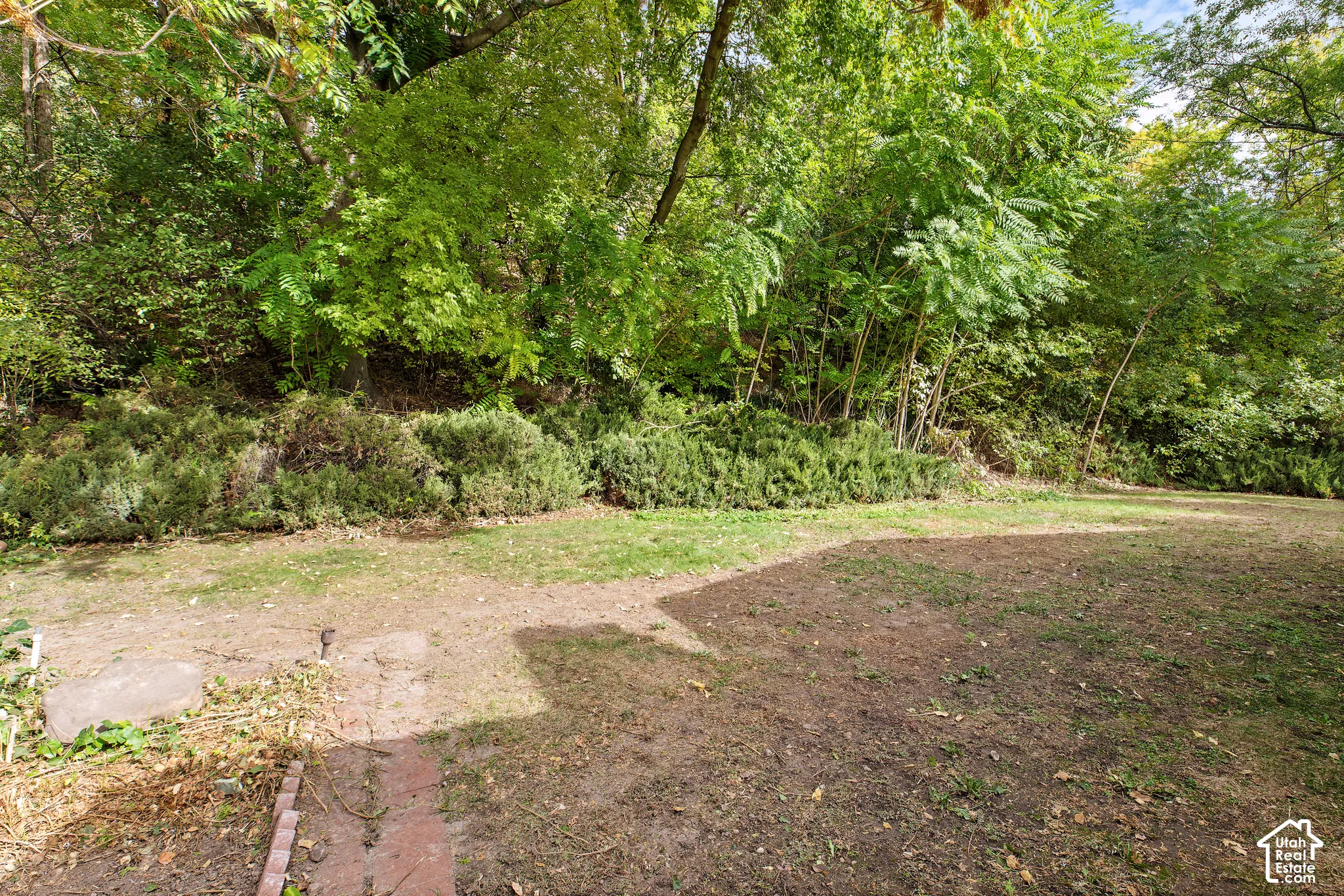 Backyard featuring mature trees, dense vegetation, and a brick-bordered pathway