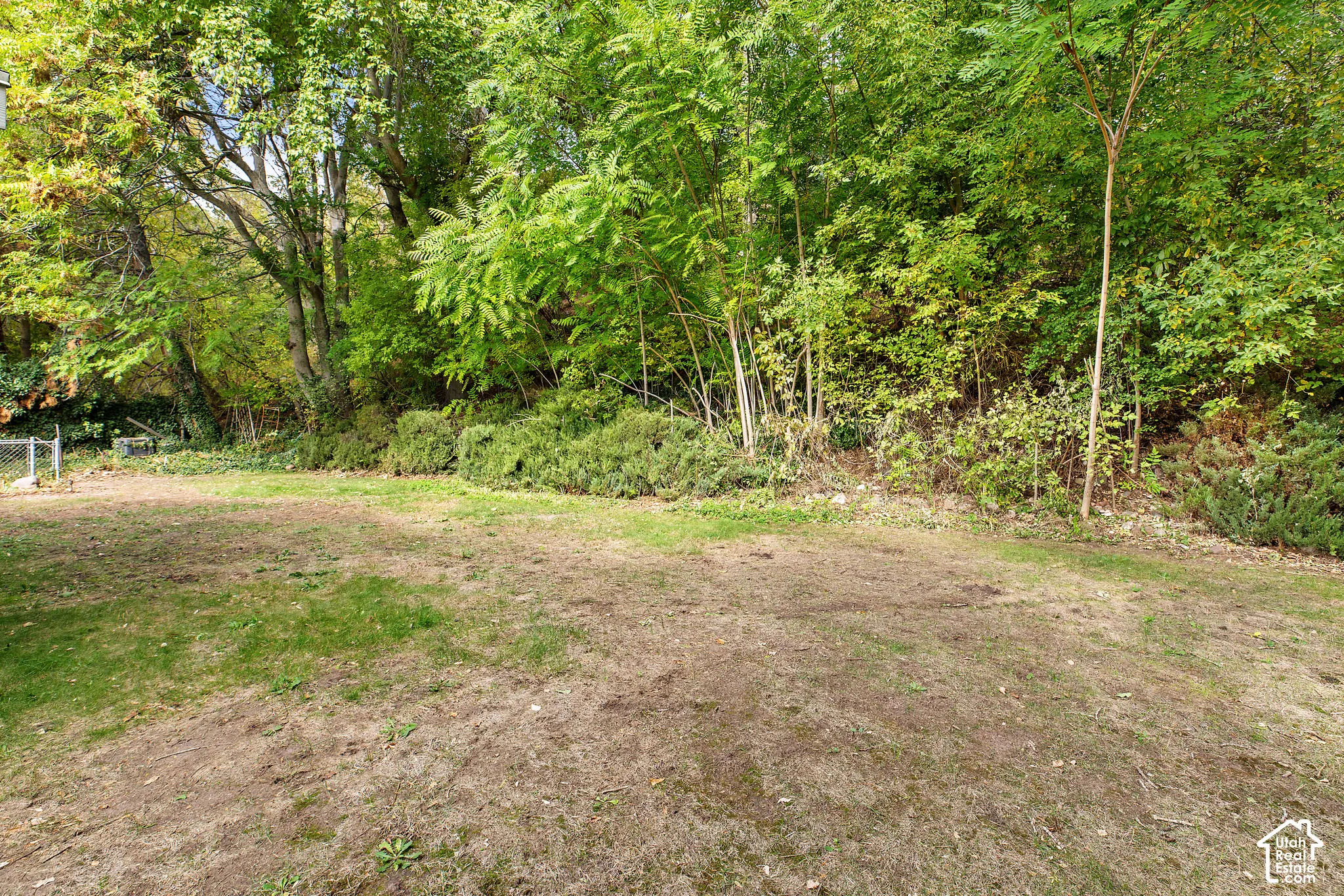 Backyard featuring an open lawn area, mature trees, and dense foliage borders