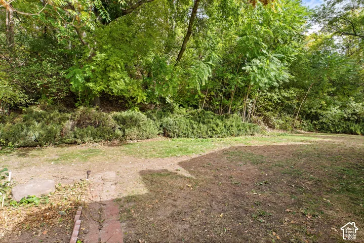 Backyard featuring mature trees, dense vegetation, and a brick-bordered pathway